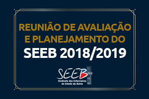 Diretoria do SEEB realiza reunião de avaliação 2018 e planejamento 2019